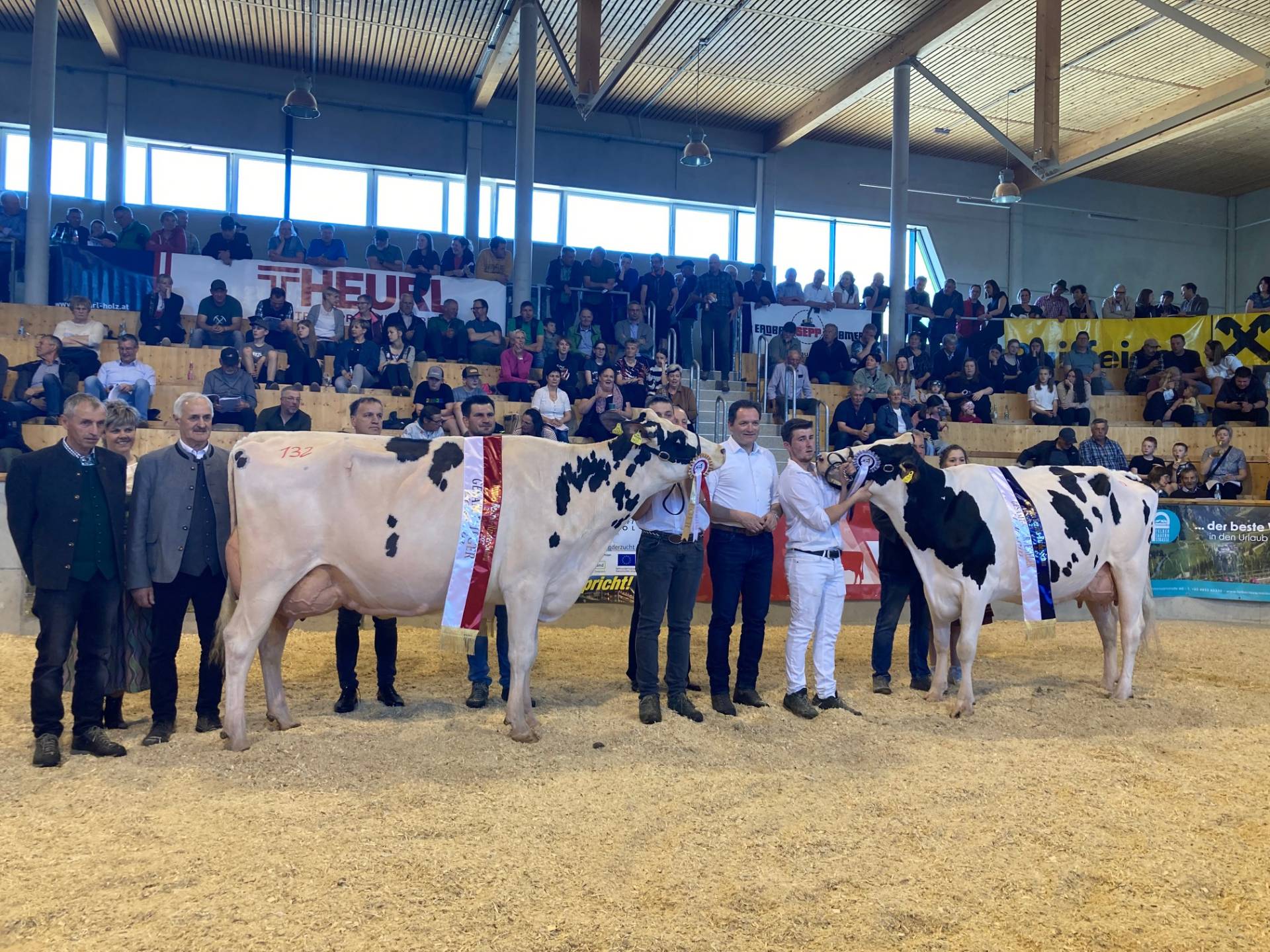 Die Holstein-Gesamtsiegerin "Maleen" und Gesamt-Reservesiegerin "Ronja". Foto: Stangl